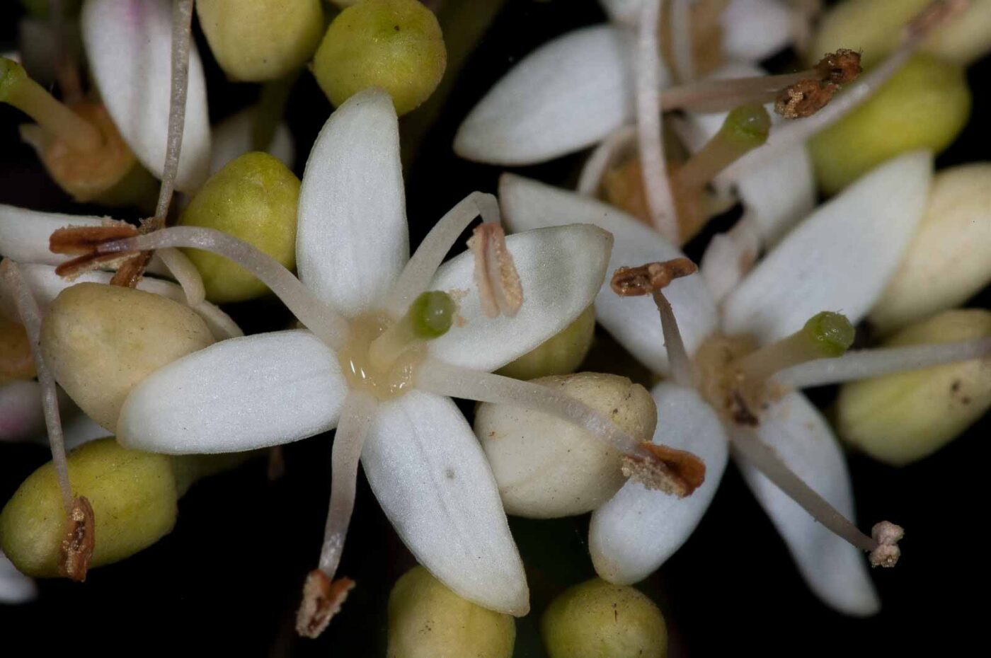 2018-11-05 - EmscherValleyWay Recklinghausen