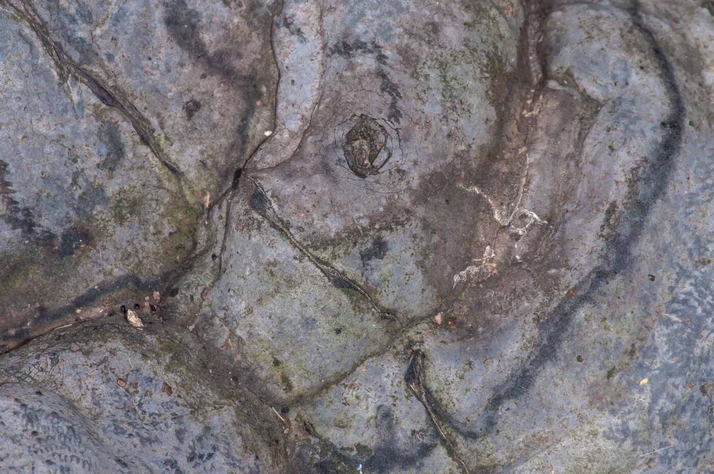 2018-11-06 - NSG Brandheide Recklinghausen