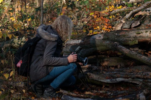 2018-11-15 - NSG Schellenbergpark C-R