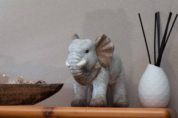 2018-11-18 - Residenzia - HolyHalla - Blitzversuche