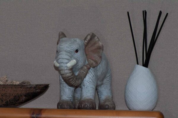 2018-11-18 - Residenzia - HolyHalla - Blitzversuche