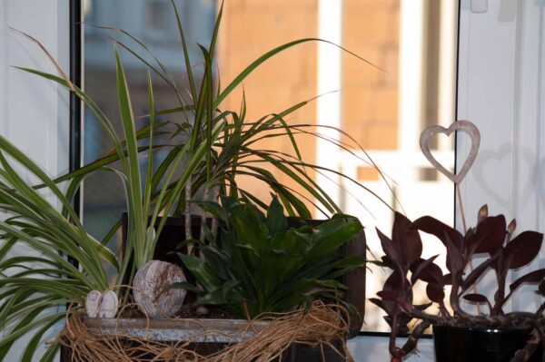 2018-11-18 - Residenzia - HolyHalla - Blitzversuche