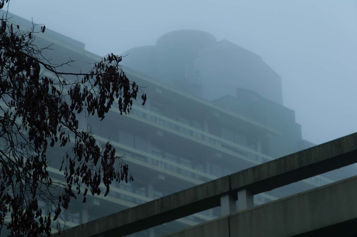 2018-11-25 -  RUB - Botanischer Garten