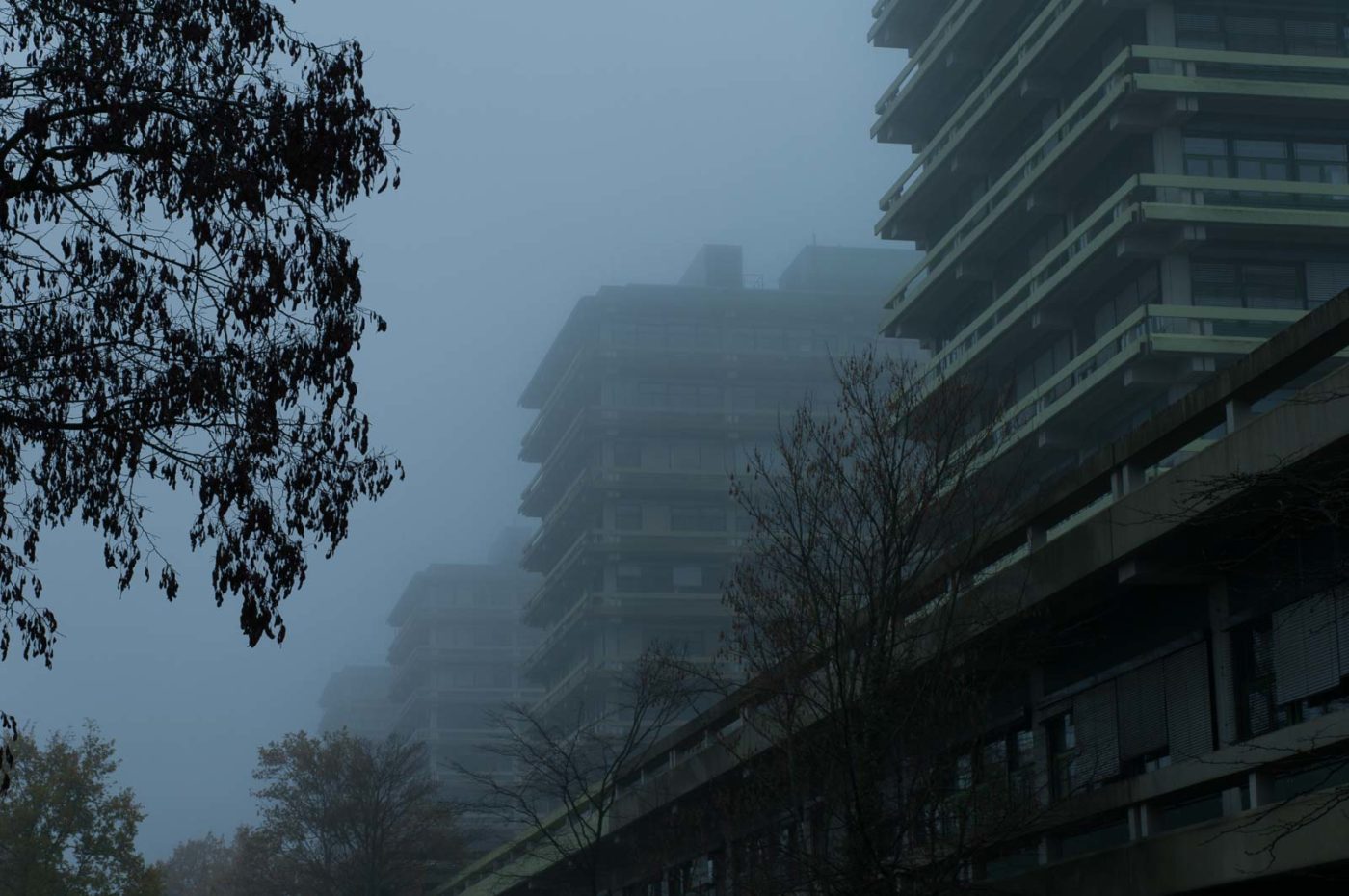 2018-11-25 -  RUB - Botanischer Garten