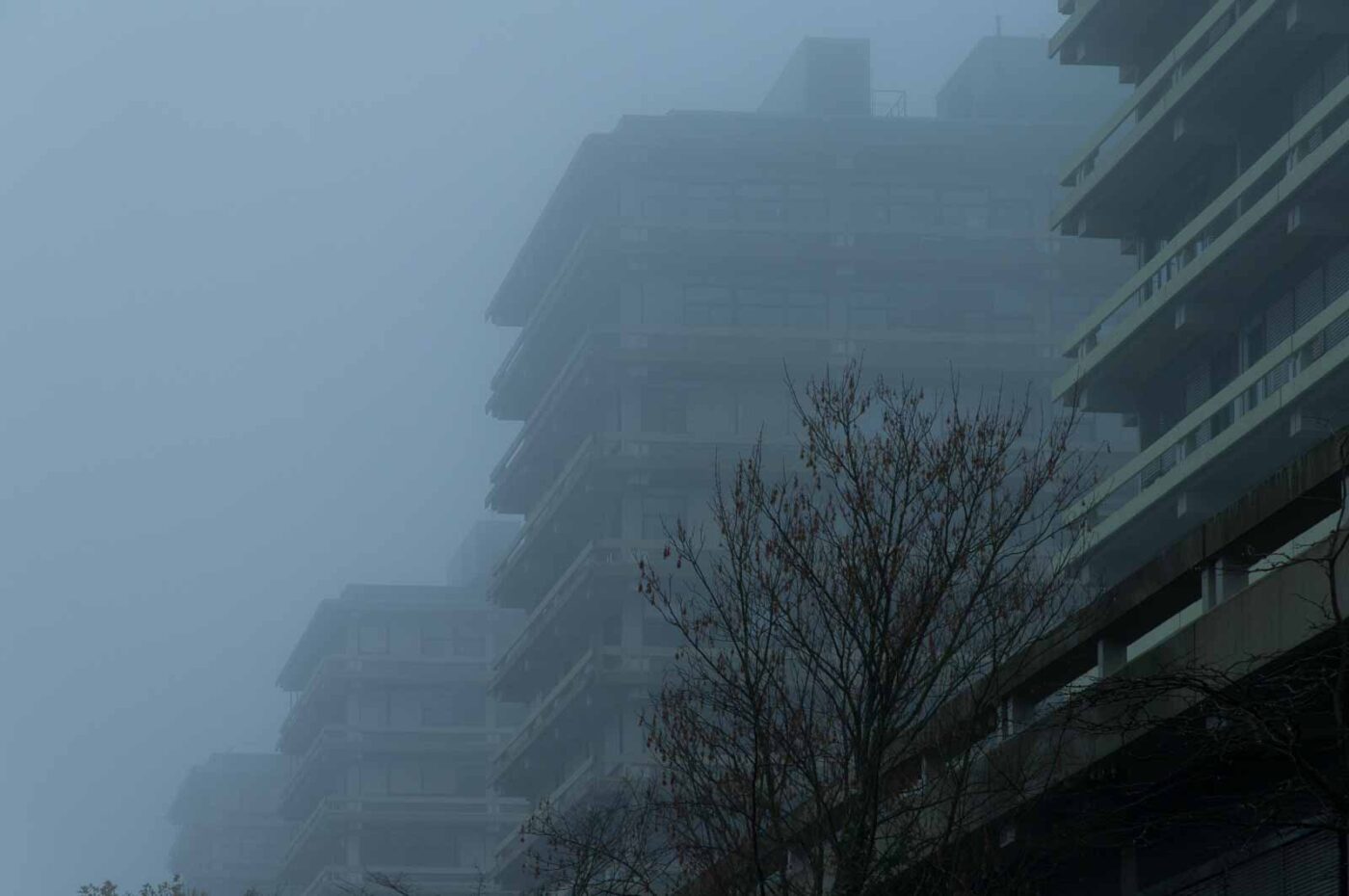 2018-11-25 -  RUB - Botanischer Garten