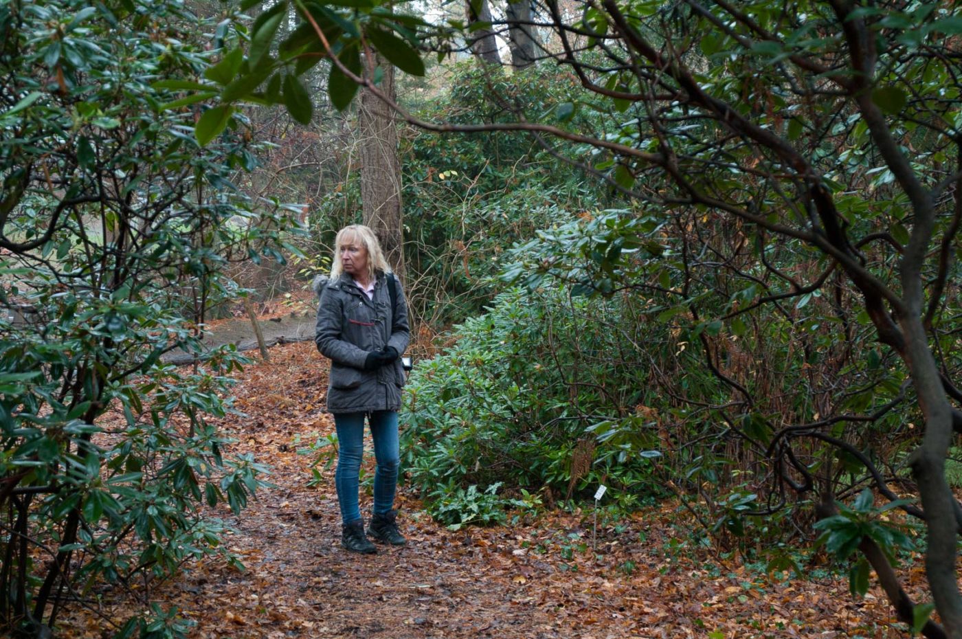 2018-11-25 -  RUB - Botanischer Garten