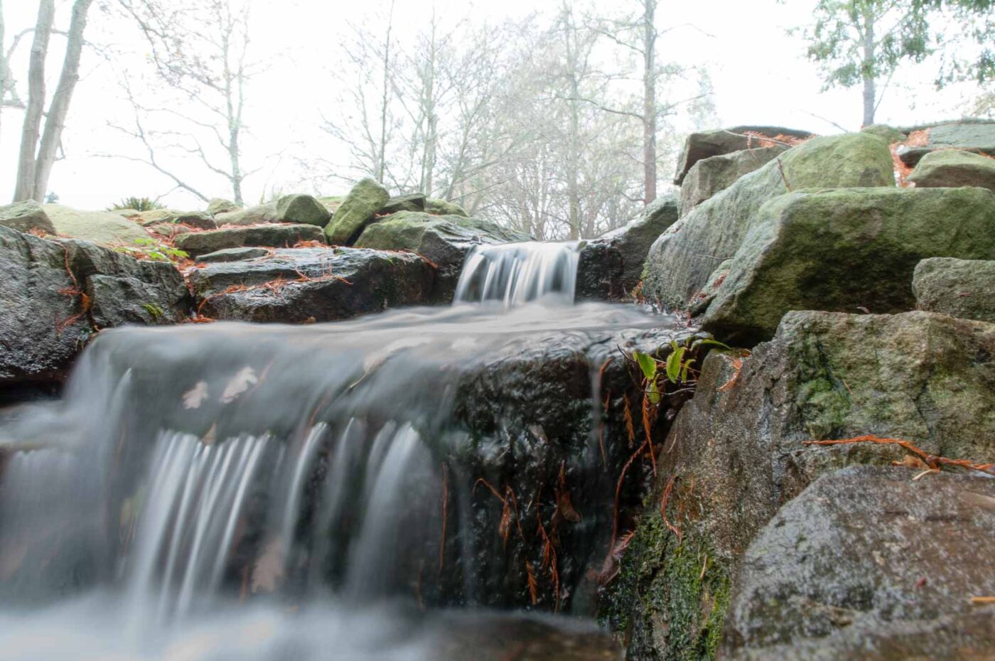 2018-11-25 -  RUB - Botanischer Garten