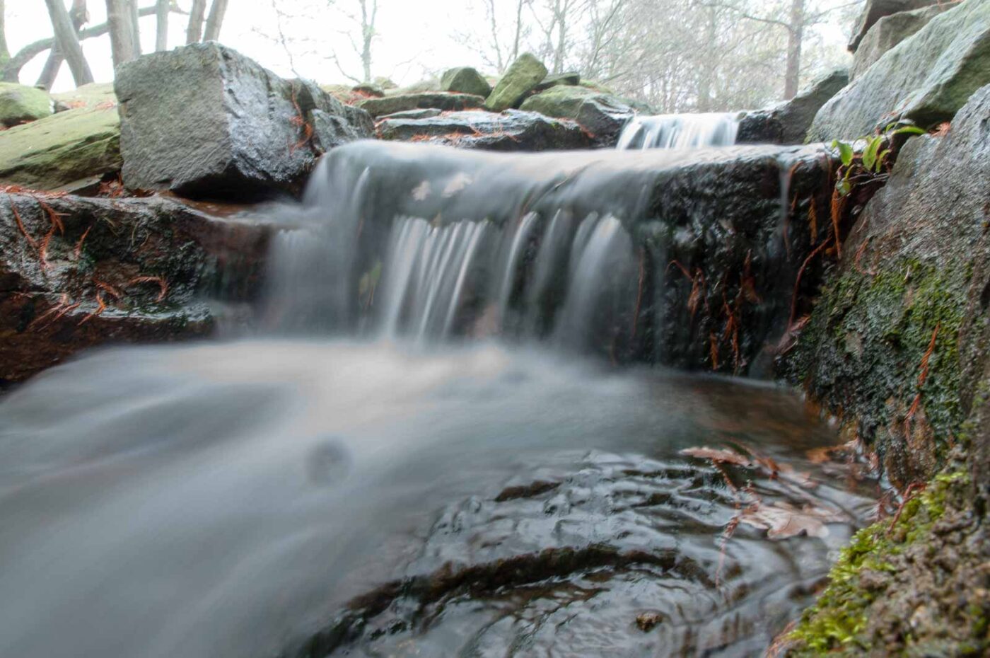 2018-11-25 -  RUB - Botanischer Garten