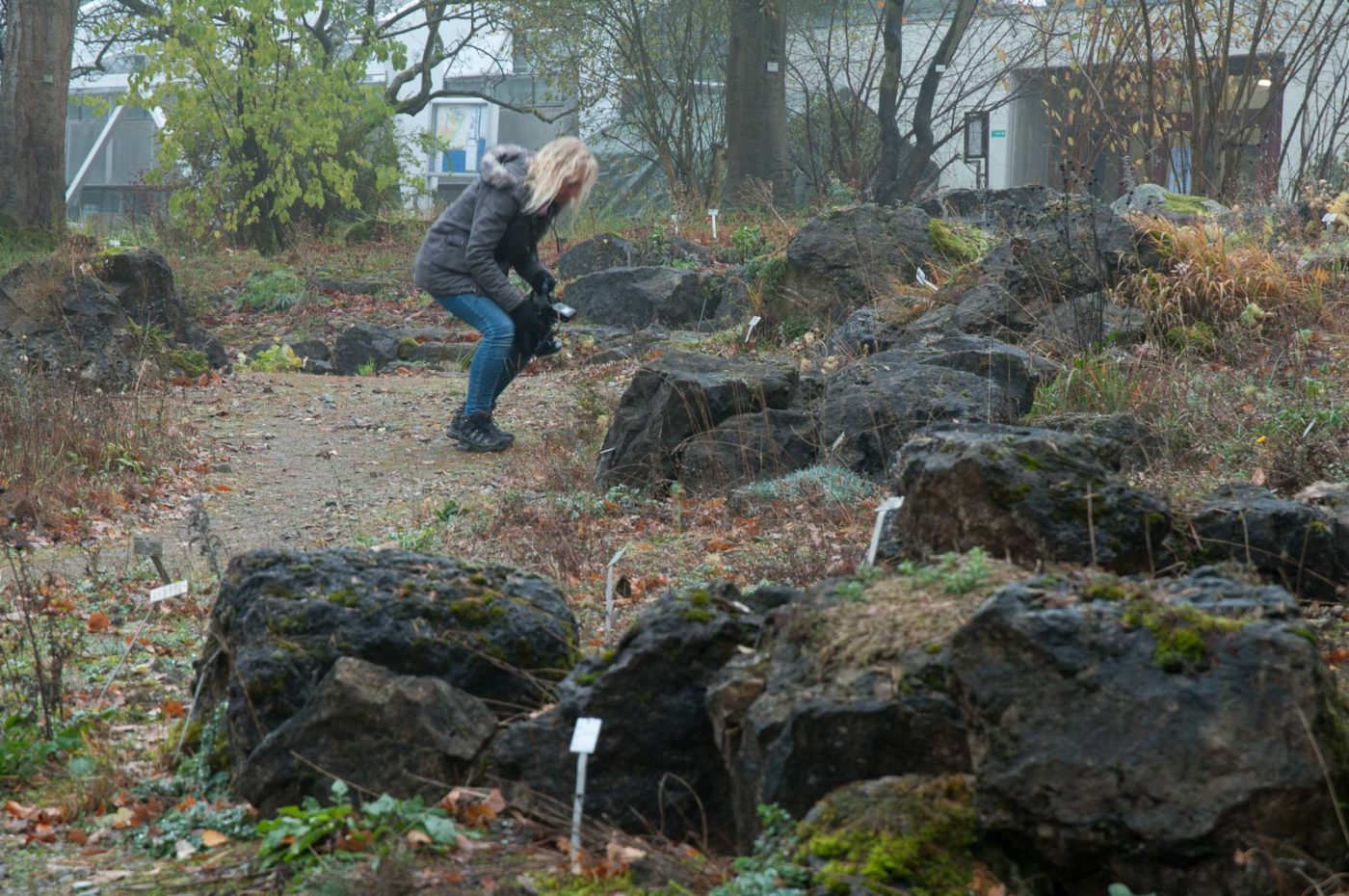 2018-11-25 -  RUB - Botanischer Garten