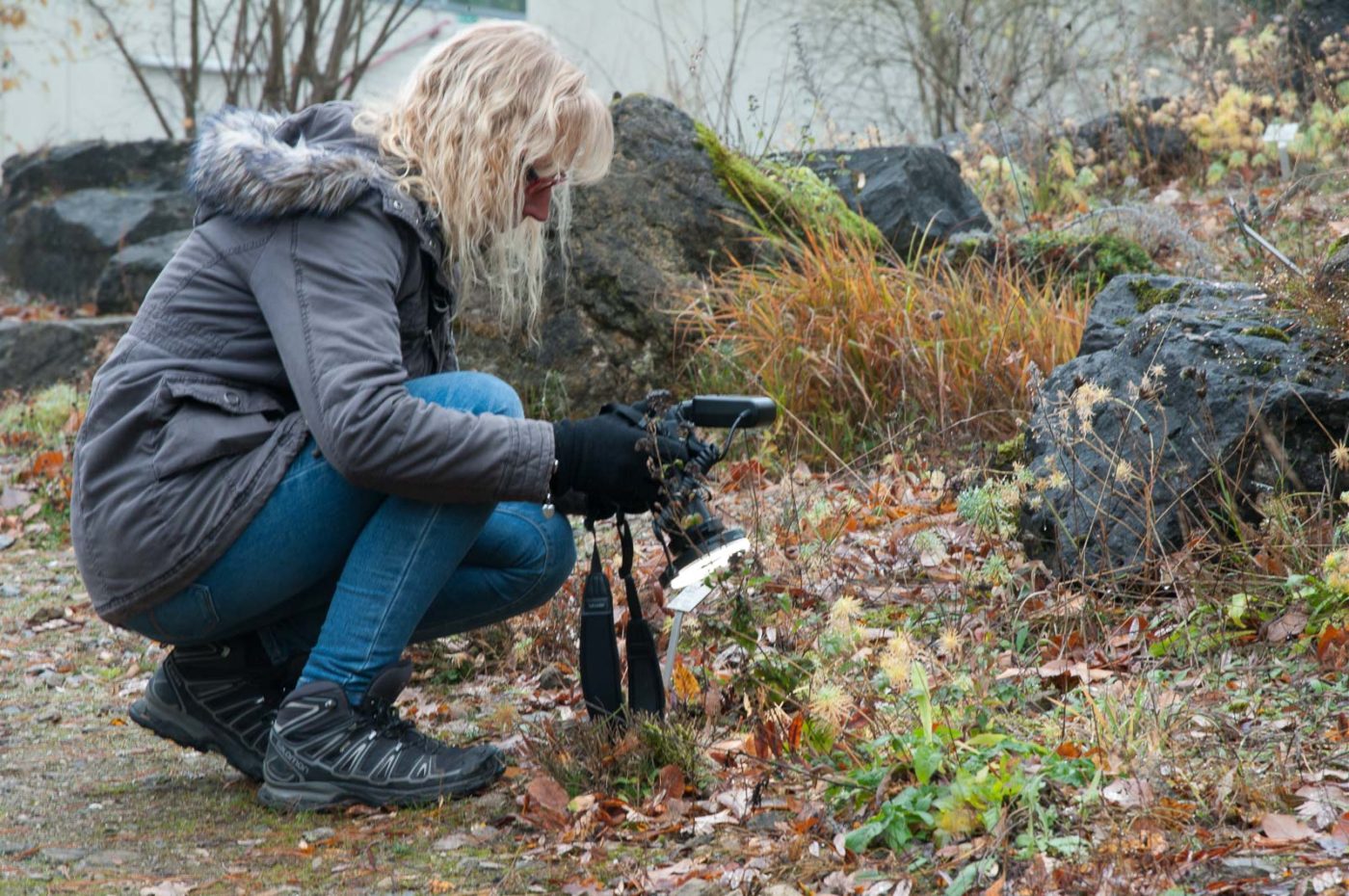 2018-11-25 -  RUB - Botanischer Garten