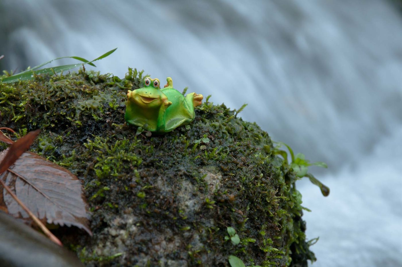 2018-11-25 -  RUB - Botanischer Garten