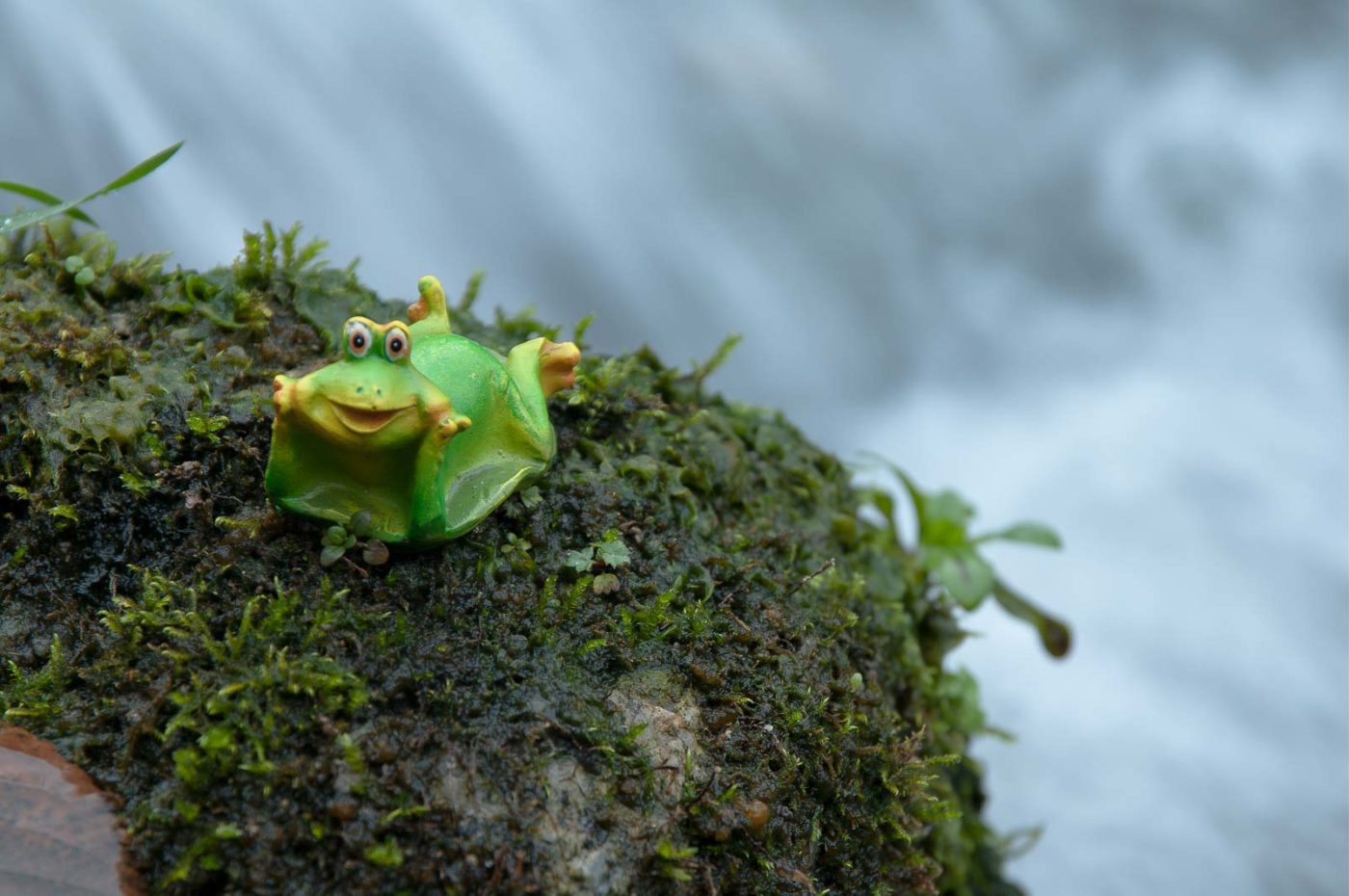 2018-11-25 -  RUB - Botanischer Garten