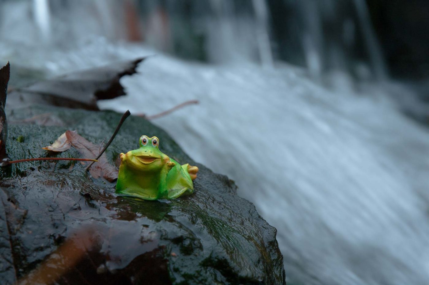 2018-11-25 -  RUB - Botanischer Garten