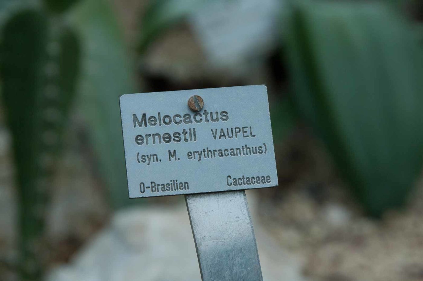 2018-11-25 -  RUB - Botanischer Garten