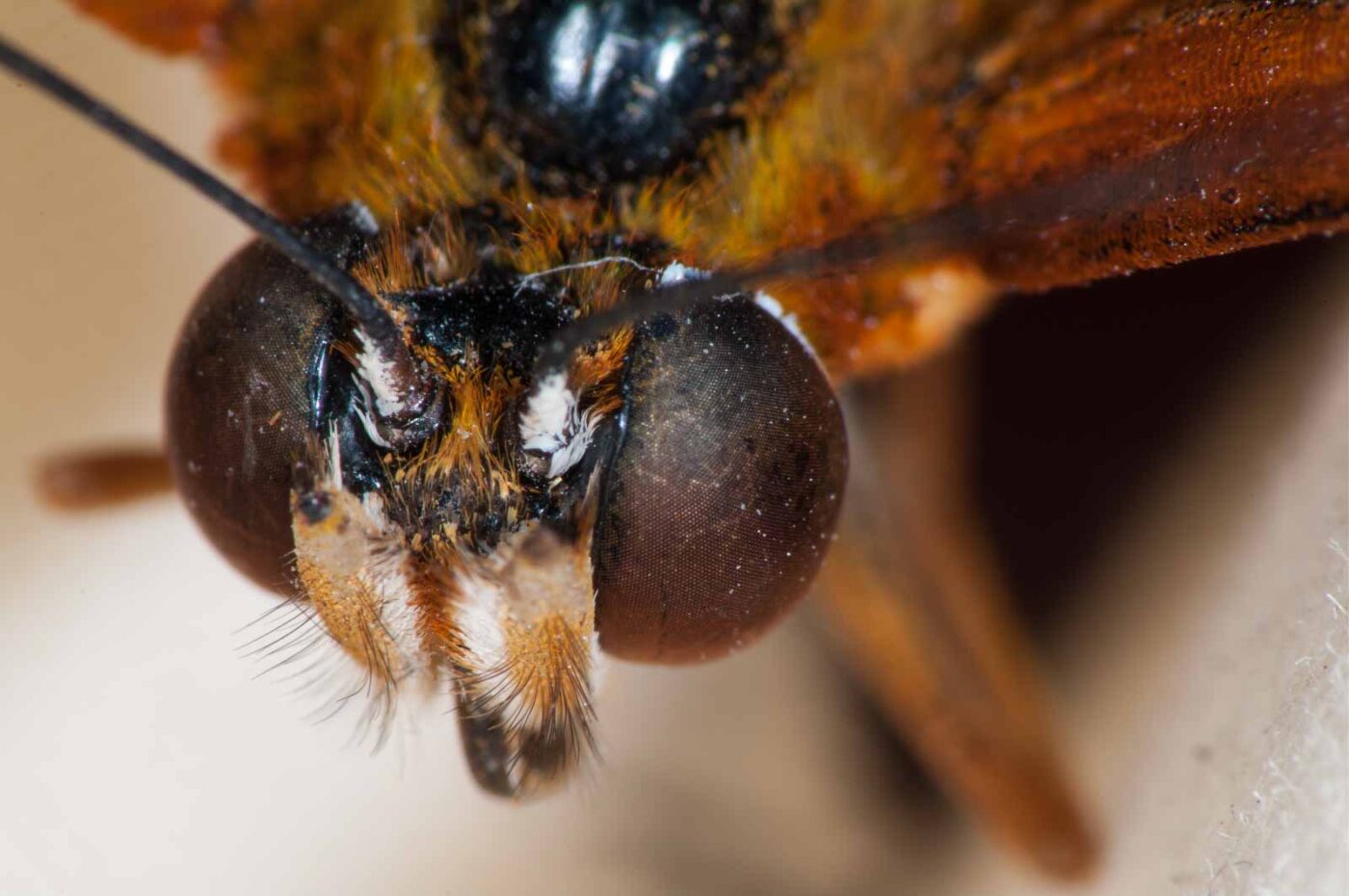 2018-11-27 - Residenzia - HolyHalla - Blitzversuche