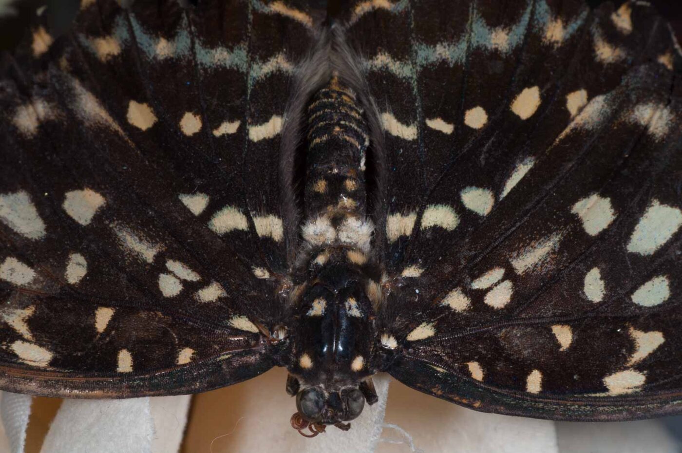 2018-11-27 - Residenzia - HolyHalla - Blitzversuche