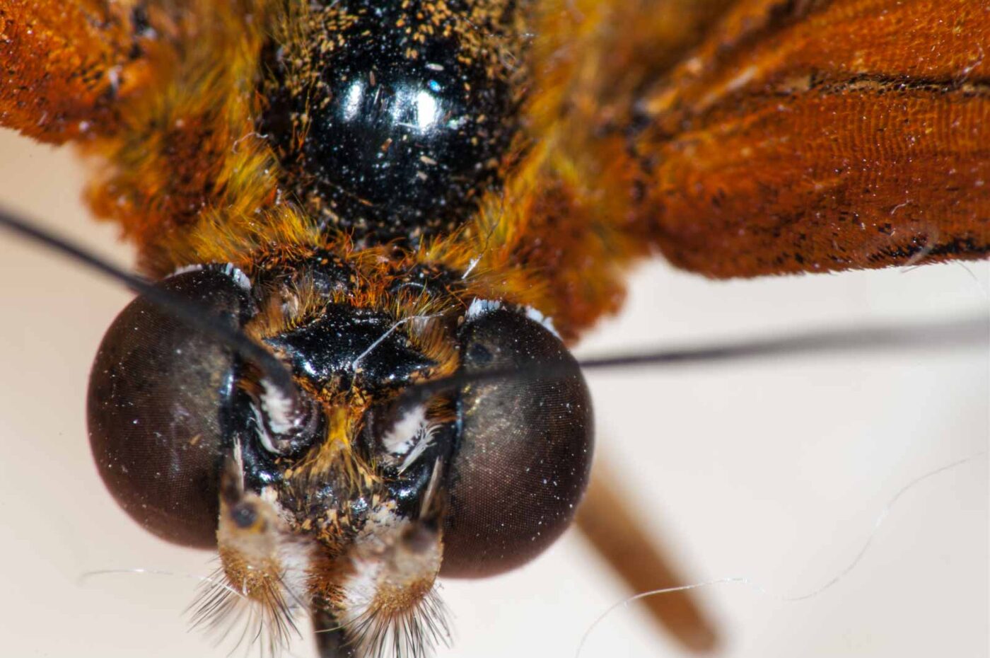 2018-11-27 - Residenzia - HolyHalla - Blitzversuche