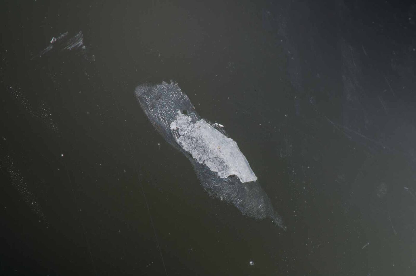 2018-11-27 - Residenzia - HolyHalla - Blitzversuche