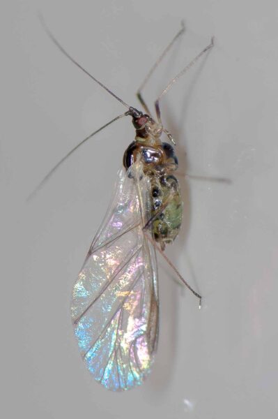 2018-11-27 - Residenzia - HolyHalla - Blitzversuche