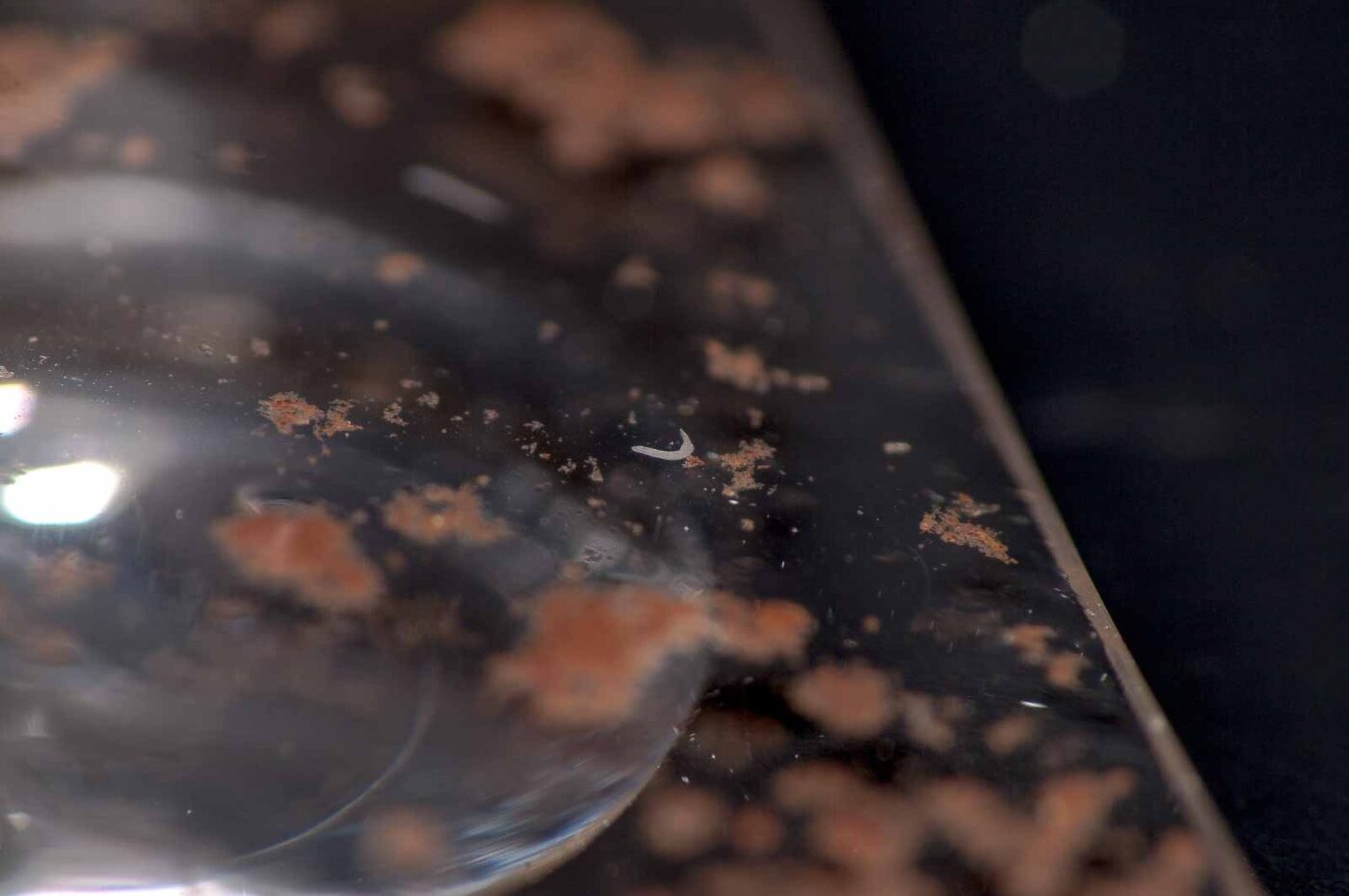 2018-11-27 - Residenzia - HolyHalla - Blitzversuche