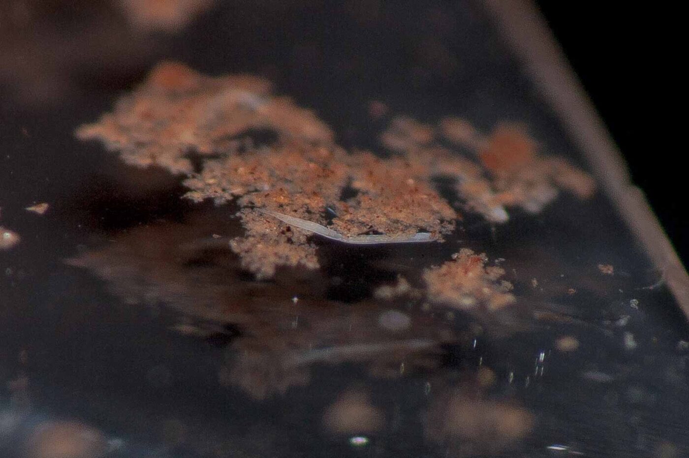 2018-11-27 - Residenzia - HolyHalla - Blitzversuche