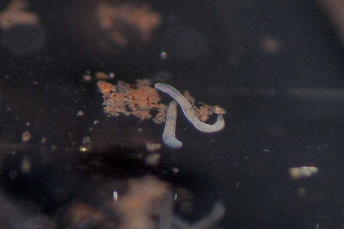 2018-11-27 - Residenzia - HolyHalla - Blitzversuche