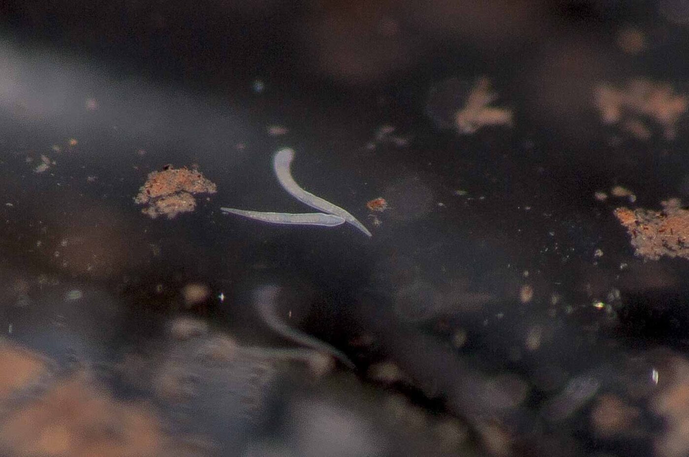 2018-11-27 - Residenzia - HolyHalla - Blitzversuche