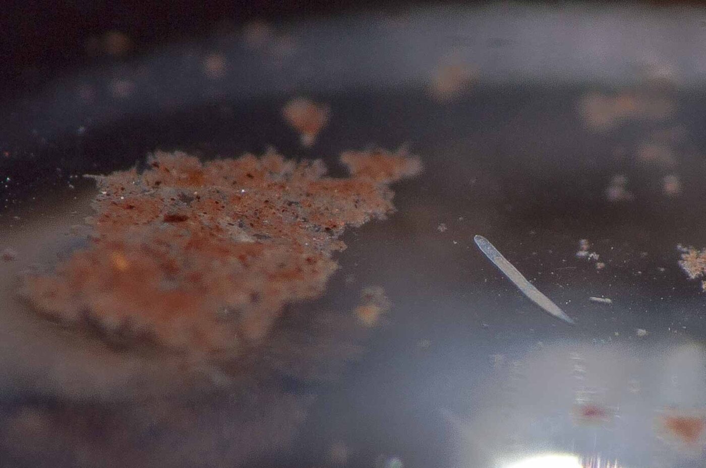 2018-11-27 - Residenzia - HolyHalla - Blitzversuche