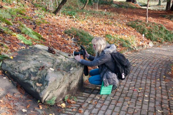 2018-12-04 - RUB - Botanischer Garten