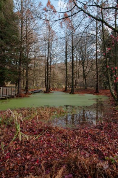 2018-12-04 - RUB - Botanischer Garten