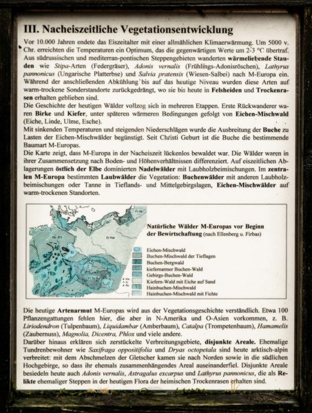 2018-12-04 - RUB - Botanischer Garten