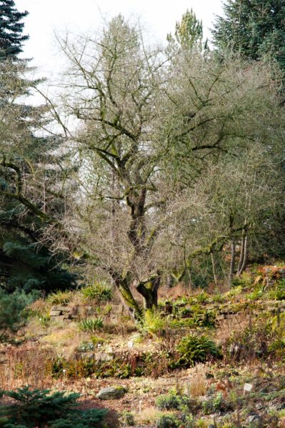 2018-12-04 - RUB - Botanischer Garten