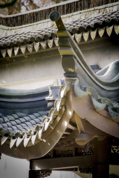 2018-12-04 - RUB - Botanischer Garten