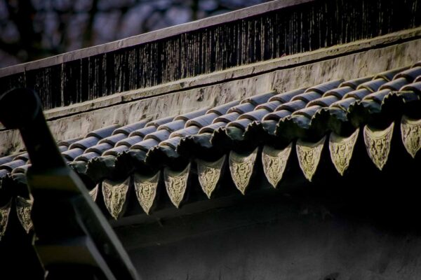 2018-12-04 - RUB - Botanischer Garten