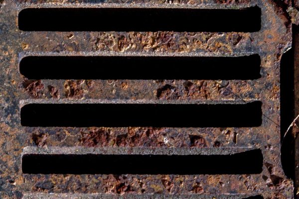 2018-12-04 - RUB - Botanischer Garten