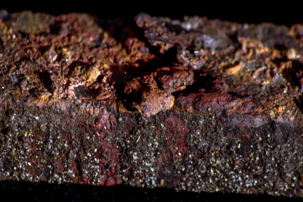 2018-12-04 - RUB - Botanischer Garten