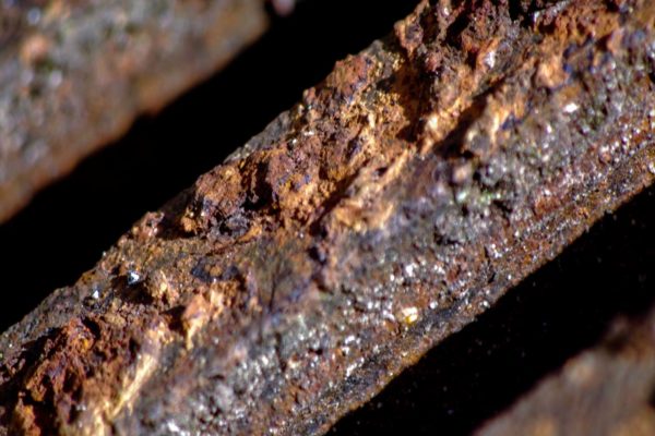 2018-12-04 - RUB - Botanischer Garten