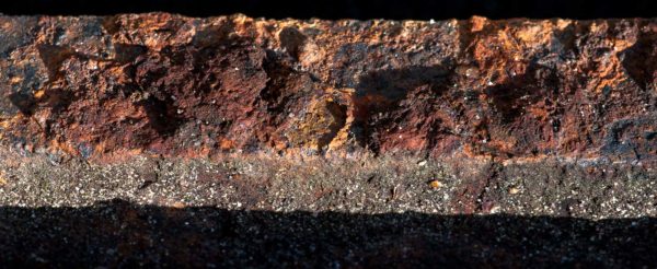 2018-12-04 - RUB - Botanischer Garten