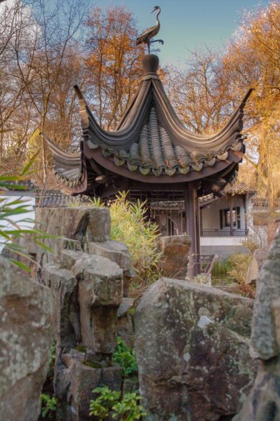 2018-12-04 - RUB - Botanischer Garten