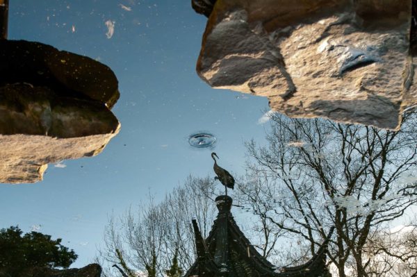 2018-12-04 - RUB - Botanischer Garten