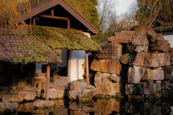 2018-12-04 - RUB - Botanischer Garten