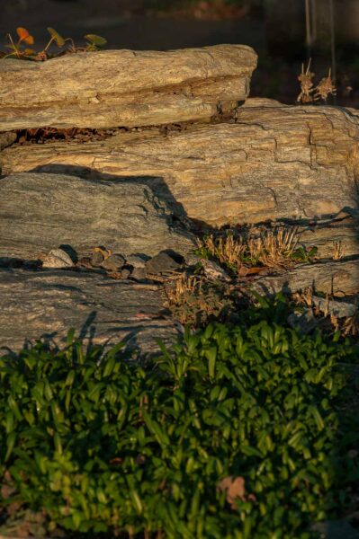 2018-12-04 - RUB - Botanischer Garten