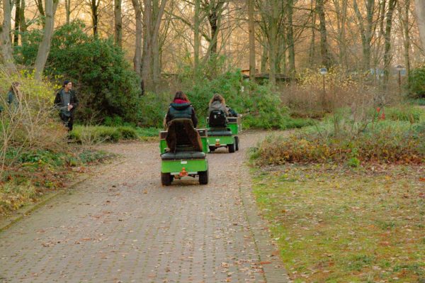 2018-12-04 - RUB - Botanischer Garten