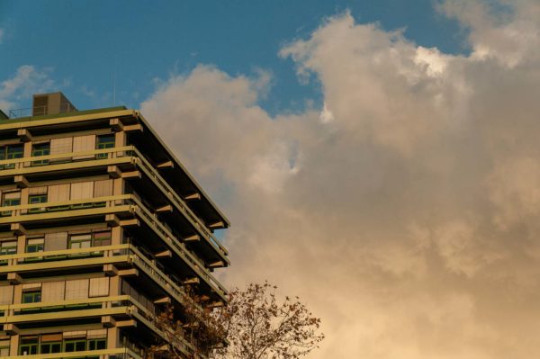 2018-12-04 - RUB - Botanischer Garten