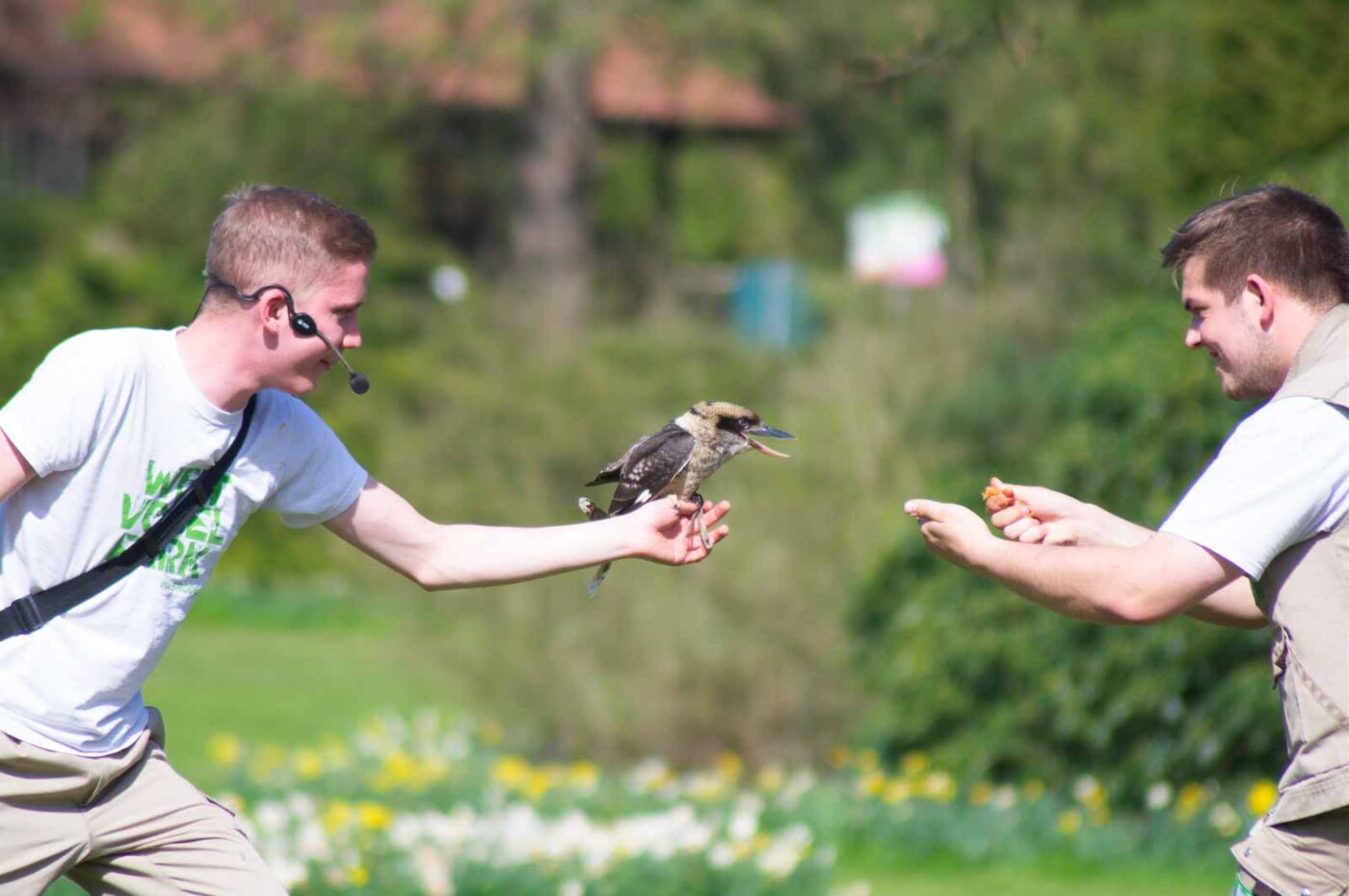 2018-04-18 - Walsrode - Vogelpark