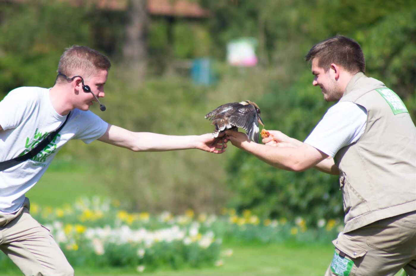 2018-04-18 - Walsrode - Vogelpark