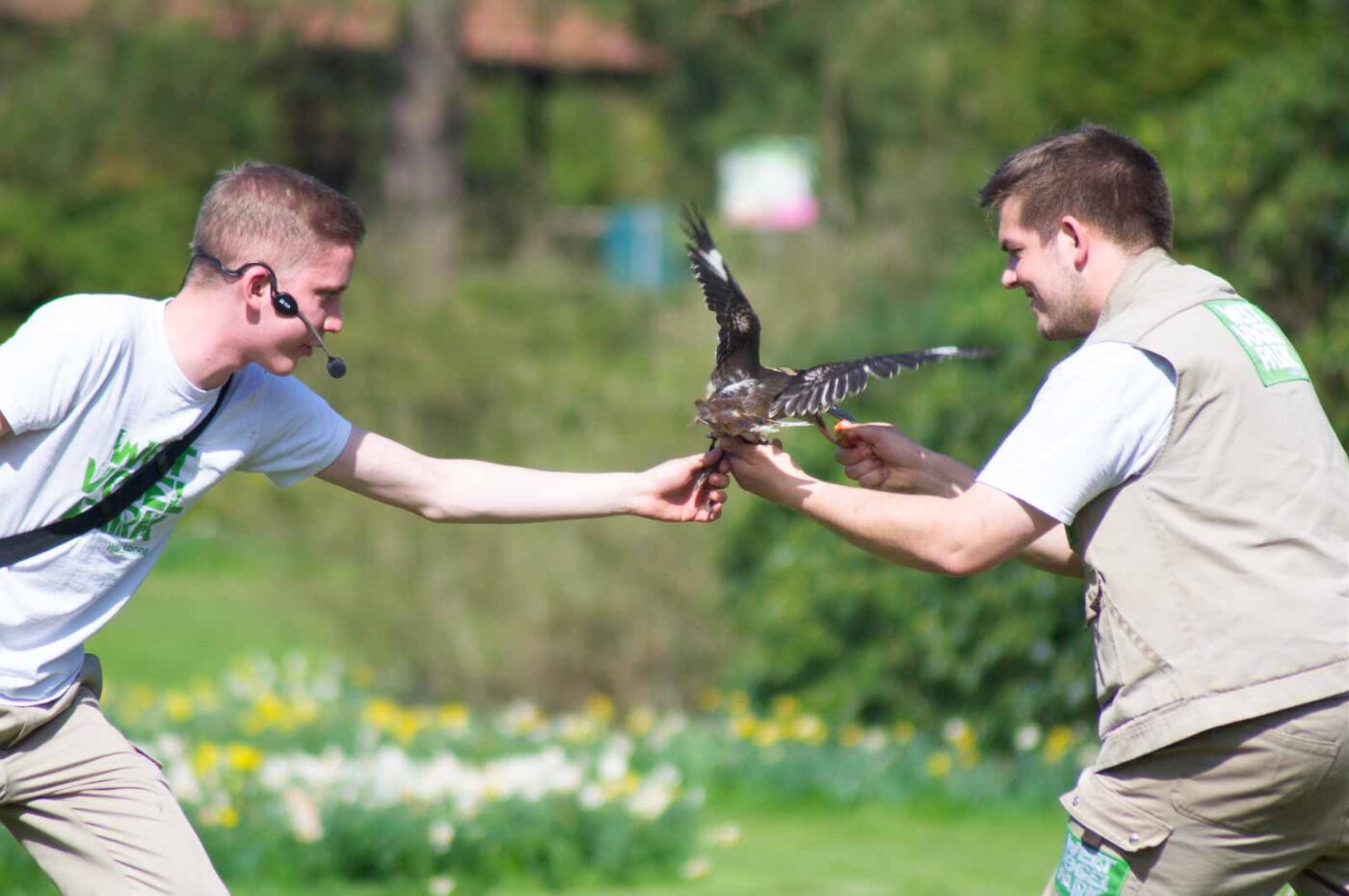 2018-04-18 - Walsrode - Vogelpark