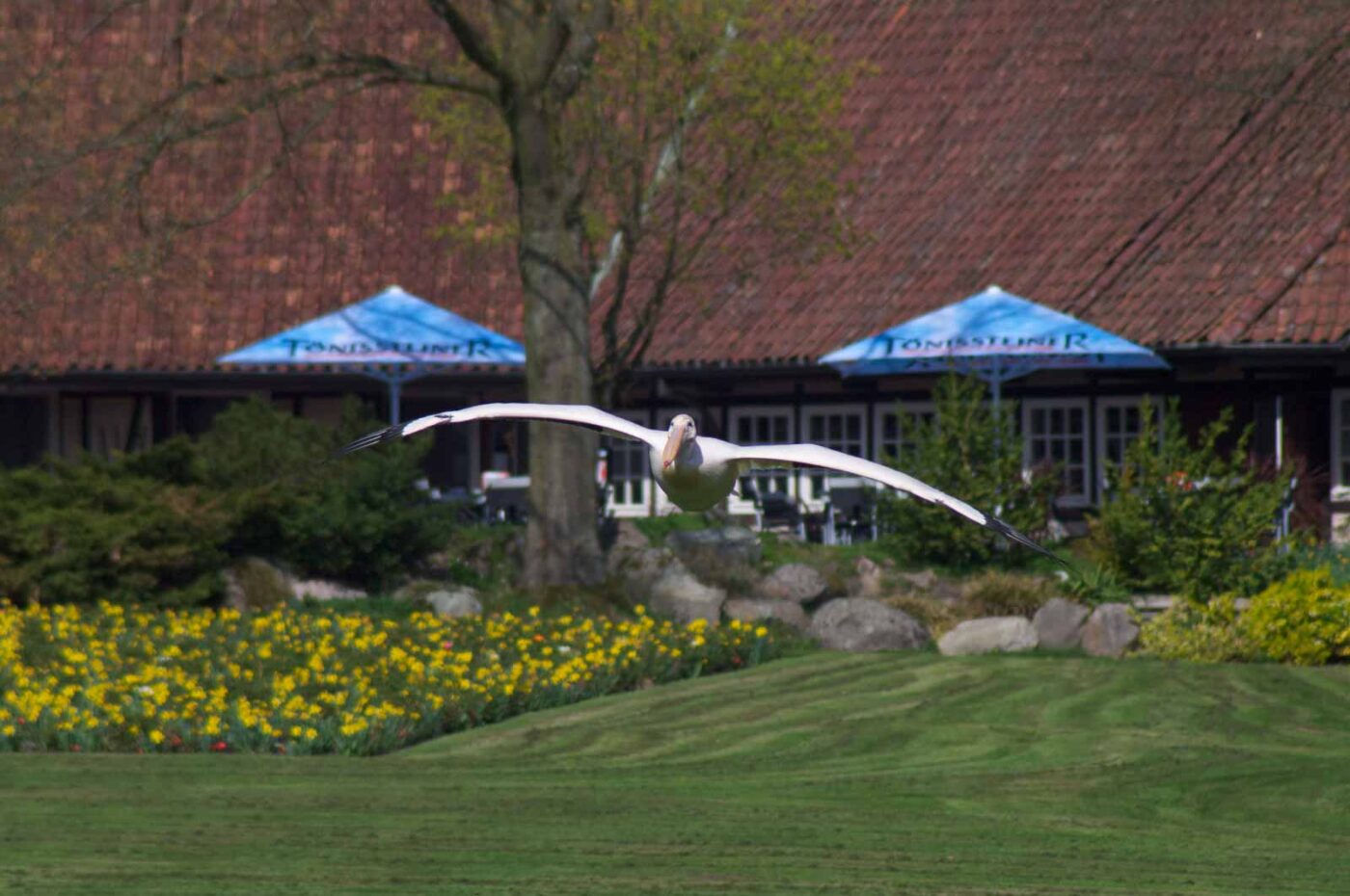 2018-04-18 - Walsrode - Vogelpark
