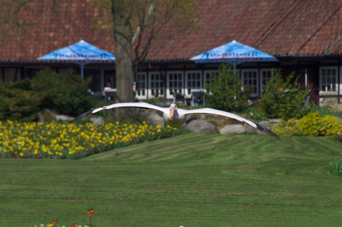 2018-04-18 - Walsrode - Vogelpark