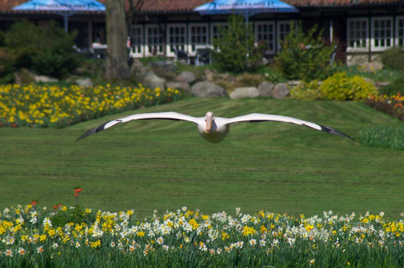 2018-04-18 - Walsrode - Vogelpark